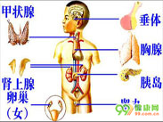 多发性内分泌腺瘤Ⅱ型